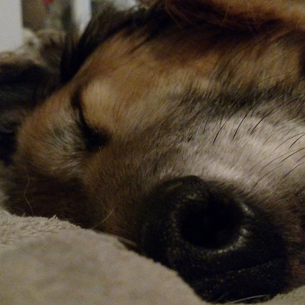 Meet your Posher, Steph